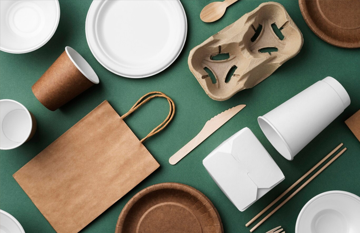 Insalatiera di carta: guida a tipologie, utilizzo e compost