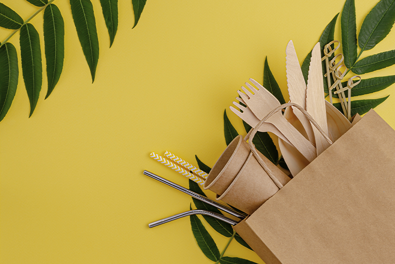 Le stoviglie usa e getta inquinano l’ambiente?