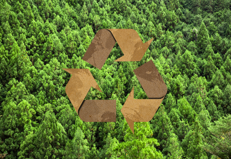 Guida FSC, EUDR e PEFC per l'approvvigionamento di forniture monouso per la ristorazione